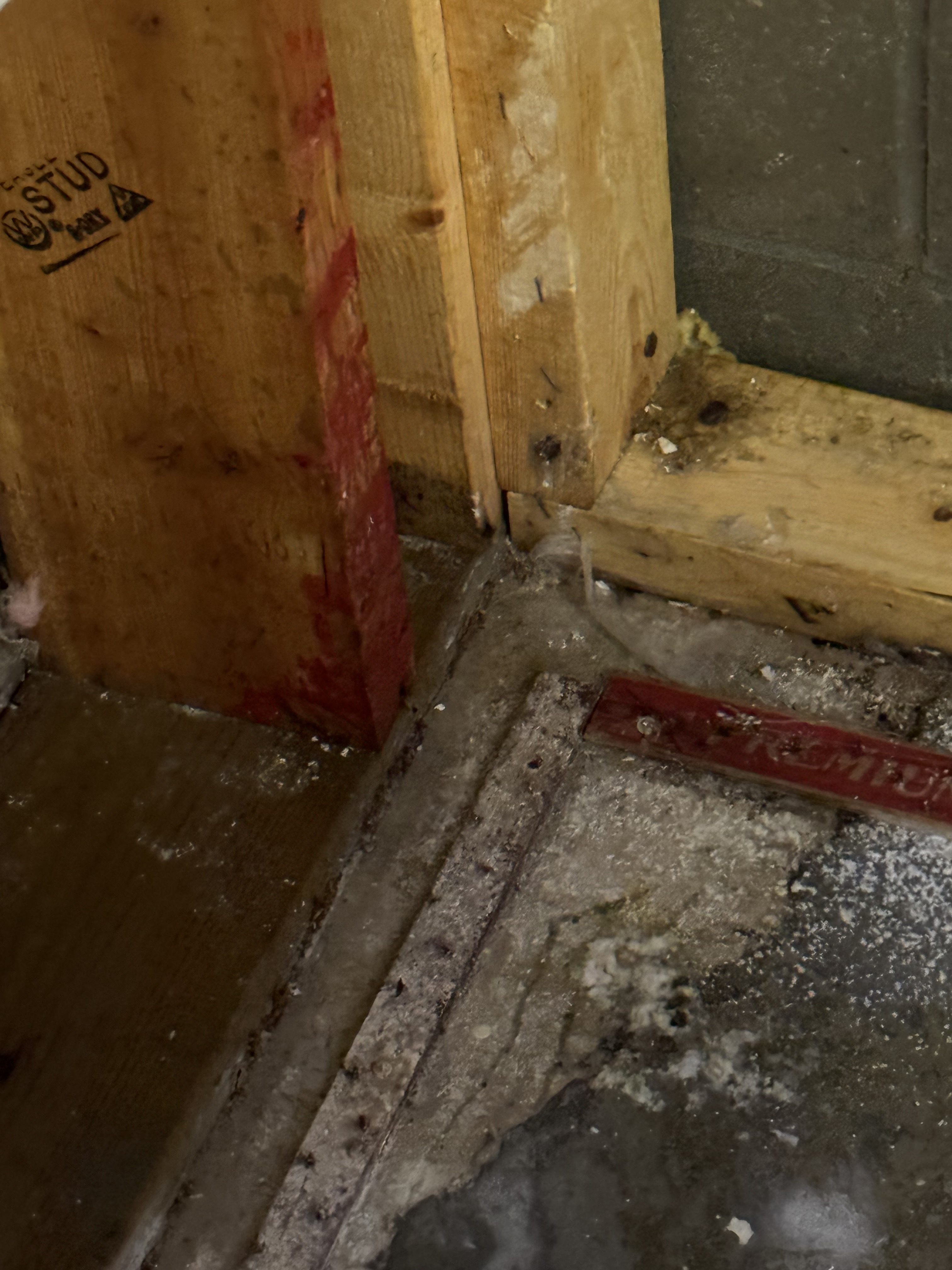 Water damage mitigation showing exposed studs and floor damage assessment